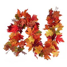 an arrangement of autumn leaves arranged in the shape of letters n on a white background