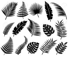 black and white silhouettes of palm leaves on a white background, set of tropical plants