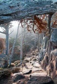 the trail is surrounded by large rocks and trees