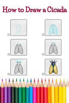 Step by step images showing a How to Draw a Cicada Doodle Drawings, Learn To Draw, Drawing For Kids, Easy Steps