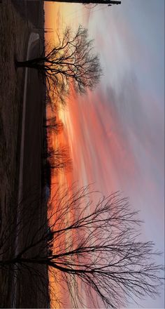 the sun is setting behind some bare trees