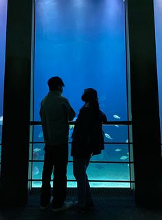 two people standing in front of an aquarium looking at fish