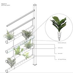 an image of a plant growing in a pot on a shelf with the diagram below