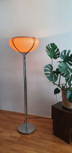 a floor lamp sitting on top of a wooden floor next to a potted plant