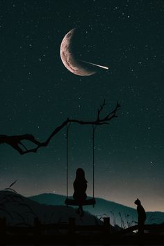 a person sitting on a swing at night with the moon in the sky above them