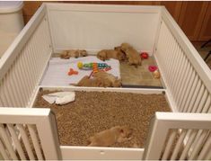 two puppies are sleeping in their crib