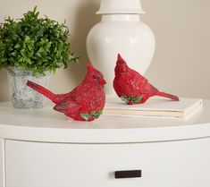 two red birds sitting on top of a white table next to a potted plant