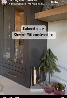 the cabinet color sherylin williams iron ore is on display in this kitchen area