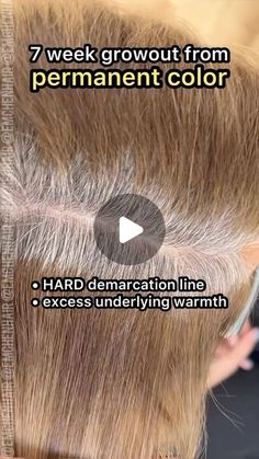 Emily Chen on Instagram: "SAVE THIS FOR YOUR NEXT GREY BLENDING CONSULTATION.   There are SO many options when it comes to grey solutions - not just N + 20vol. As many of you know by now, one of my favorites is using a deposit-only Demi to grey-blend as an alternative to permanent color when possible. This offers a more dimensional result, zero underlying warmth (never fades “brassy”), and an ultra soft grow out for my low-maintenance queens. When I do this, I like to formulate about one shade lighter than the natural base to create a “highlighted” effect, and add warmth since there is NO underlying warmth in the grey we’re applying it over.   For my client here, we used Goldwell Colorance 2% (7vol) 60ml developer, 30ml 6N, 30ml 7G   Have you used deposit-only demi’s for grey blending?   # Dark Blonde Grey Blending, Grey Blending Hair Color, Low Lights Grey Blending, Blending Greys Into Blonde Hair, Demi Permanent Grey Blending, Demi Hair Color Shades, Demi Grey Blending, Demi Color Over Gray, Brassy To Ashy Blonde