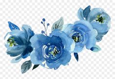 blue flowers on a white background watercolor painting, hd png downloads and psd