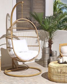 a rattan swing chair with white cushions in front of a palm tree and potted plant