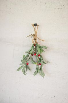 a bunch of green leaves hanging from a rope with red berries on it's end