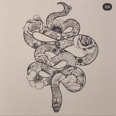 a drawing of a snake with roses on it