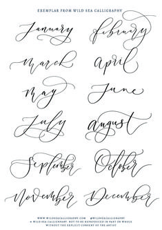 the different types of calligraphy in cursive writing, including one for each letter