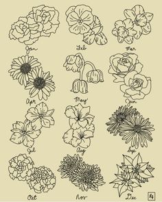 the different flowers are drawn in black and white on a light colored background, each with their own name