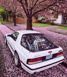 a white car parked in front of a tree filled with pink flowers