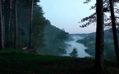 a foggy forest filled with lots of trees next to a river in the distance