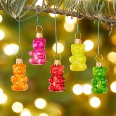 four gummy bears hanging from a tree branch with christmas lights in the back ground