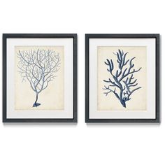 two framed art pieces with blue corals on white paper, one in grey and the other in beige