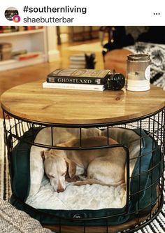 a dog curled up in his bed on top of a coffee table with a book