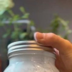 a hand holding a mason jar in front of a potted plant