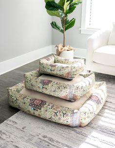 a living room with a couch, chair and potted plant