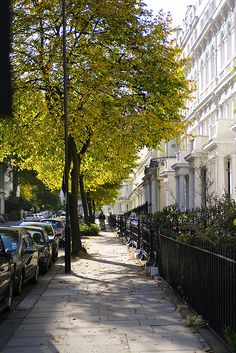 a street lined with parked cars next to tall white buildings and trees on both sides