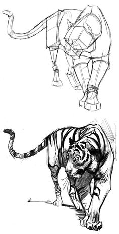 three different types of animals that are drawn in black and white, one is a tiger