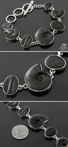 Fossilized trilobite and ammonite bracelet Ammonite Jewelry Handmade, Trilobite Jewelry, Ammonite Jewelry, Extinct Species, Fossil Jewelry, Stone Bracelets, Portfolio Ideas, Jewelry Inspo, Stone Bracelet