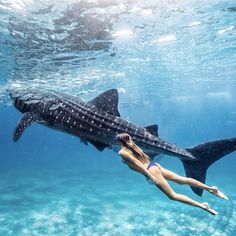 a woman is swimming with a whale in the ocean