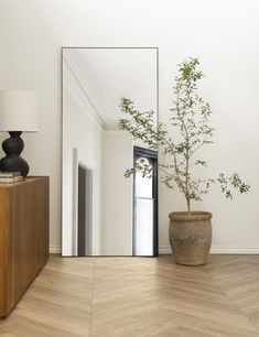 a potted plant sitting on top of a wooden floor in front of a mirror