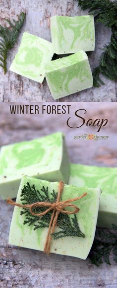 three soap bars with evergreen leaves on them and the words winter forest soap in front