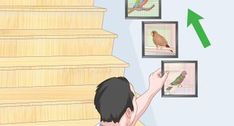 a man is looking at birds on the stairs