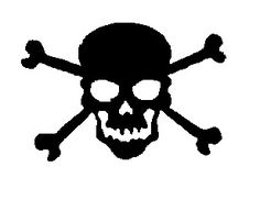 a skull and crossbones on a white background