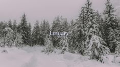 a snowy landscape with trees and the words january