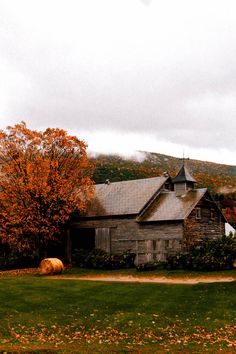 an old barn in the fall with autumn leaves on the grass and trees around it