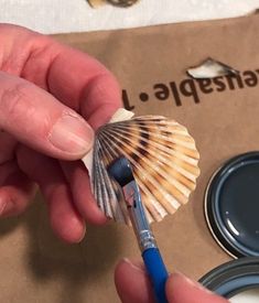 a person holding a paintbrush and some seashells in front of a cardboard box