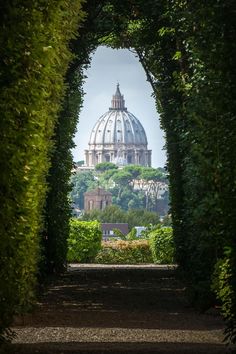 an arch leading to a domed building in the distance with trees and bushes on either side