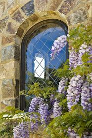 purple flowers are blooming in front of a stone building with an arched glass window