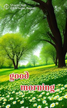 a green field with flowers and trees in the background that says good morning on it