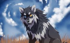 a wolf standing in the middle of a field under a blue sky with white clouds