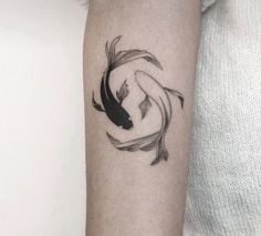 a black and white koi fish tattoo on the arm