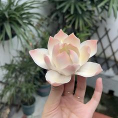 a person holding up a fake flower in their hand