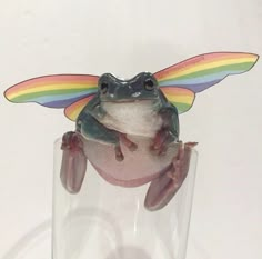 a frog sitting on top of a glass with a rainbow colored umbrella over its head