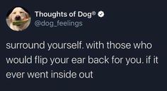 a dog with a piece of food in its mouth and the caption says,'thought