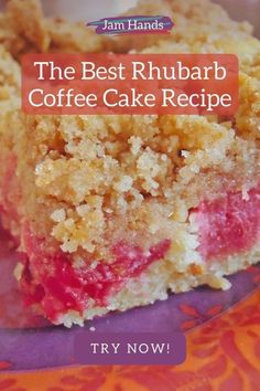 the best rhubarb coffee cake recipe on a plate with text overlay