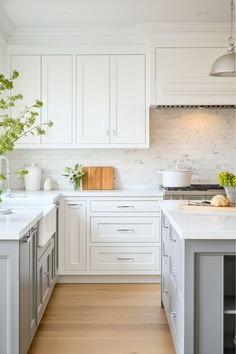 a kitchen with white cabinets and wood flooring is pictured in this image, there are plants on the counter