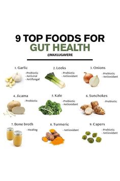 9 Best Gut Healing Foods Gut Healing Foods, Healing Foods