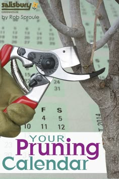 a pair of pliers are being used to pruning a tree in front of a calendar