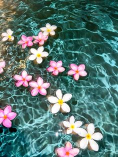 pink and white flowers floating on top of blue water with ripples in the pool